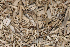 biomass boilers Tregavarah