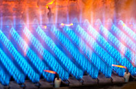 Tregavarah gas fired boilers